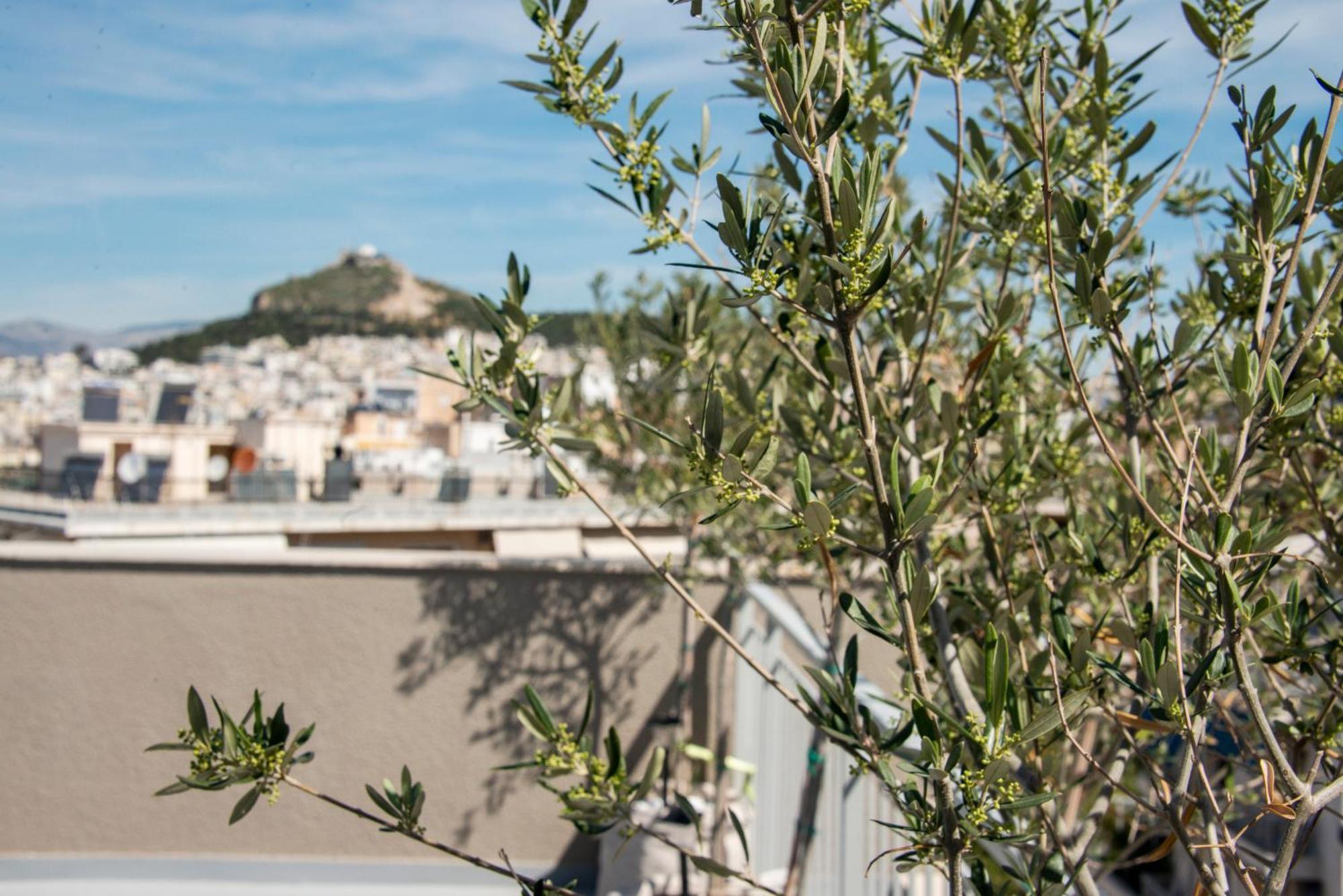 The Athenian Oasis Apartment Exterior photo